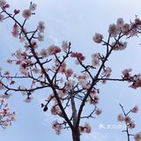 和朋友聊天说笑，这般惬意
