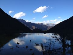 -黄龙山原始森林景区