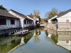 -鲁镇