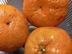 -鸽子侯·家宴·平价海鲜(绿地店)