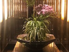 -北京四季酒店·采逸轩