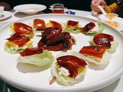 -千灯盛汇·头牌粤菜(致越优城店)