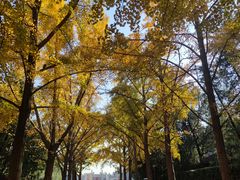 -肯德基(安定门店)