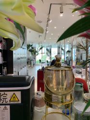 点击看大图 -悦SALON