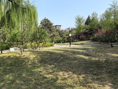-玲珑塔公园