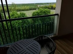 -上海崇明金茂凯悦酒店