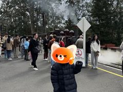 -普芬比利蒸汽火车