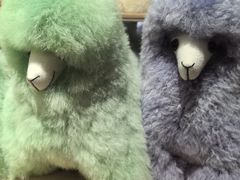 -番茄口袋(上海普陀区环球港店)