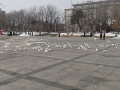 -星巴克(盘锦水游城店)