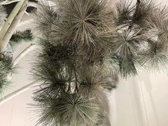 -金香匯晚茶(浑南店)