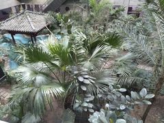 -黑龙江中医药大学附属第一医院