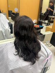 -东方麒麟·潘多拉SALON
