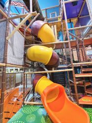 -卡通尼·Safari非洲探索乐园·生日会(金桥国际商业广场店)