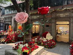 -IL TEATRO 精品意大利餐厅