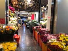 -溪岸路花鸟市场