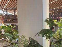 -掂档潮汕牛肉火锅(沈阳万象城店)