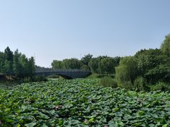 -尚贤河湿地