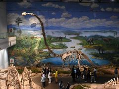 -自贡恐龙博物馆