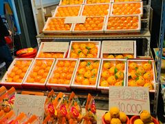 -西归浦每天偶来市场