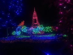 -杭州湾海上花田景区