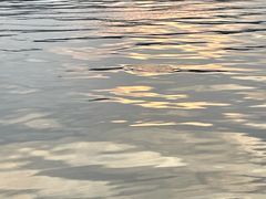 -西湖外事游船(湖滨二公园外事游船码头)