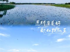 -曙光水镇