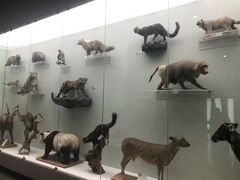 -国家自然博物馆