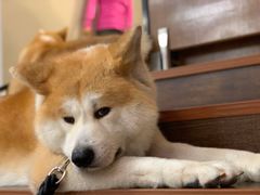 -YCHL Studios健身工作室(市二宫店)