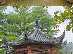 -广州神农草堂中医药博物馆