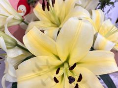 -循礼门鲜花花市(武汉循礼门店)