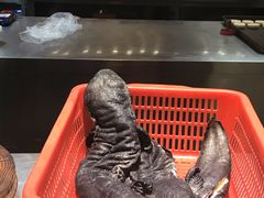 -印象鲵宴·张家界地标美食名片(溪布街店)