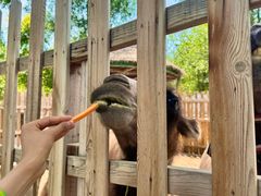 -水上乐园·欢乐世界