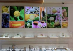 -安利上海体验馆