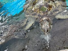 -海合安成都极地海洋公园