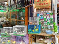 -龙大花卉苗木市场