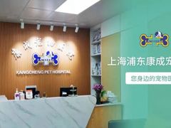 -康成宠物医院24H·CT·核磁共振