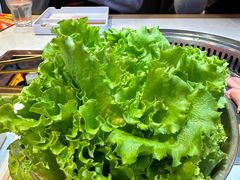 -杨记齐齐哈尔烤肉(总店)