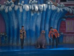 -华夏文旅海洋公园