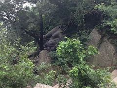 -紫金山山顶公园