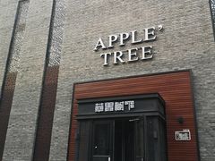 门面-苹果树下艺术餐厅(宋庄店)