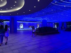 -LV路易威登(国际广场店)