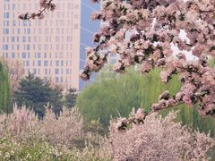 -海棠花溪(元大都城垣遗址公园)