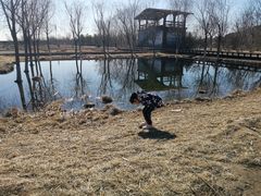 -永定河休闲森林公园