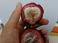 -新隆嘉 供销超市(修竹商场店)