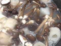 -探窝·竹笙椰子鸡(杨箕店)