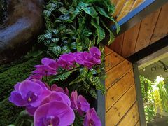 -湘当爱·鲜煮现炒(松岗立业路店)