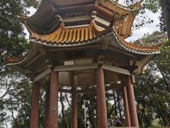 -广州市帽峰山景区
