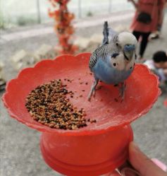 -萌宠亲子动物乐园(槐房万达店)