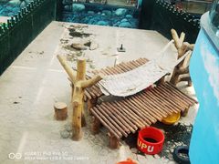 -沈阳森林动物园