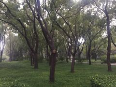 -玲珑塔公园